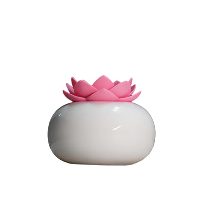 Lotus humidifier
