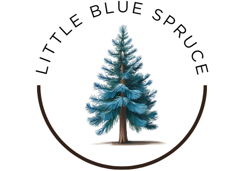 Little Blue Spruce